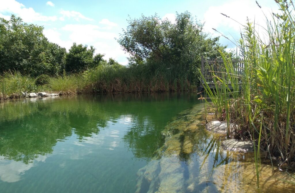 entspannung, wasser, teich